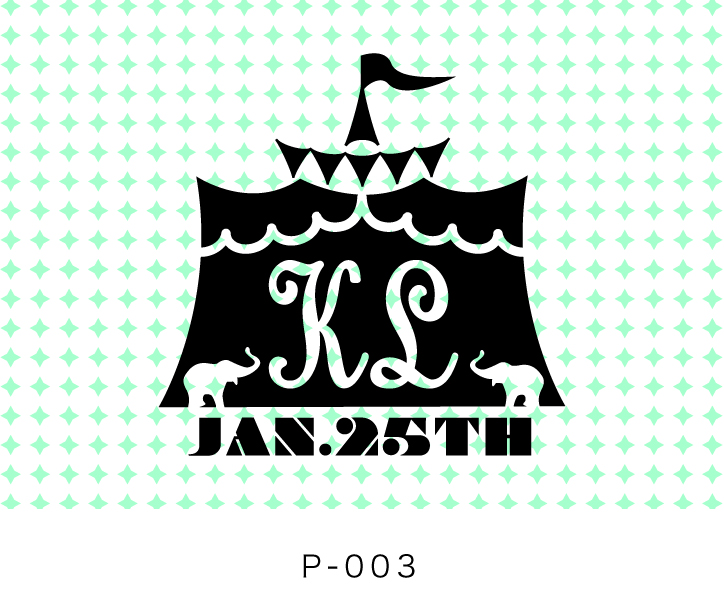 P-003